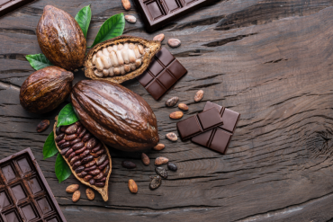 Variedade de cacau em diferentes estágios, incluindo frutos inteiros, sementes cruas e fermentadas, e barras de chocolate sobre superfície de madeira rústica.