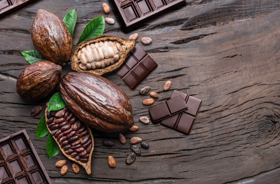 Foto mostrando cacau e chocolates.